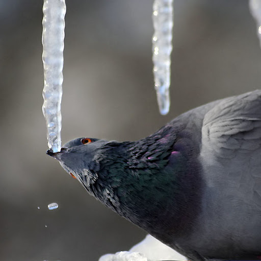 Hd-141364-ascw141364