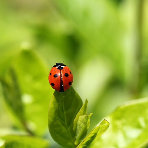 Hd-139534-ascw139534