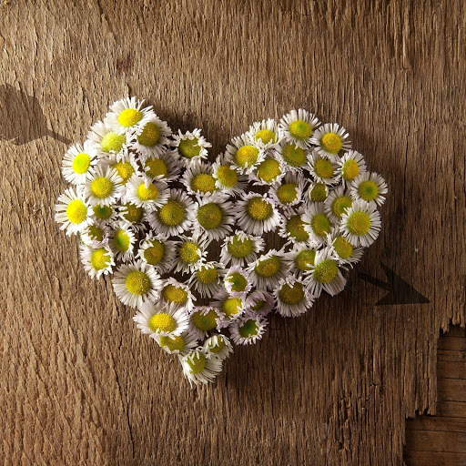 Hd-141555-ascw141555