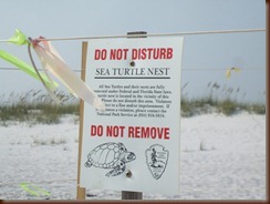 sea turtlle signs