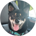 Betty Fischers profile picture