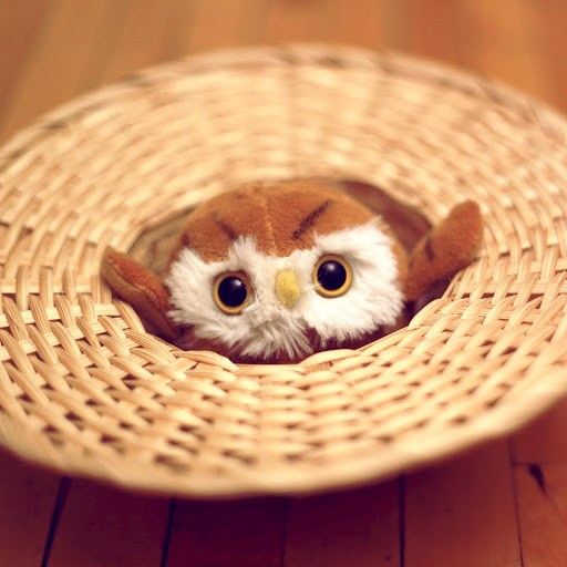 Hd-173708-ascw173708