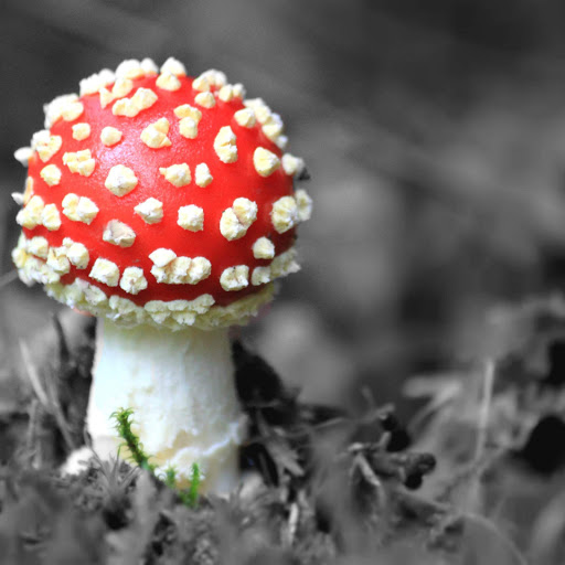 Hd-152664-ascw152664