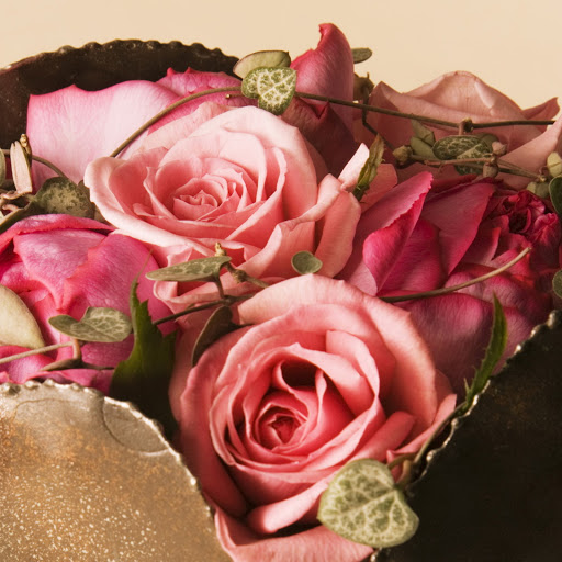 Hd-171051-ascw171051