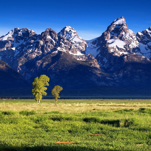 Hd-150367-ascw150367