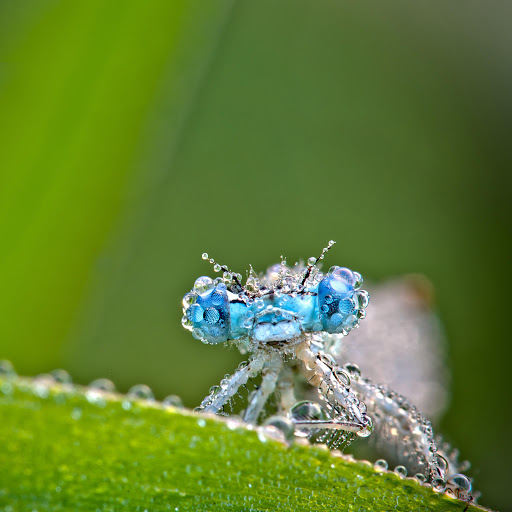 Hd-152086-ascw152086