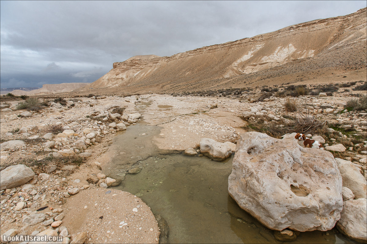 Ручей Акев и источник Эйн Акев в пустыне Негев. LookAtIsrael.com - Фото путешествия по Израилю