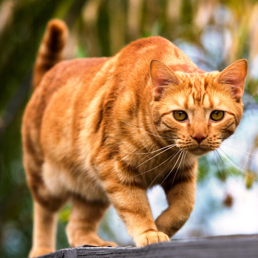 Hd-147430-ascw147430