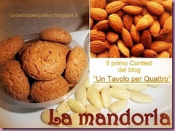 Banner Contest Mandorla 1Tx4-003