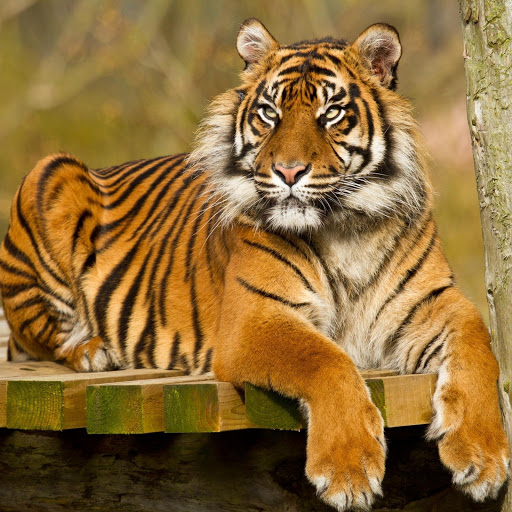 Hd-176169-ascw176169