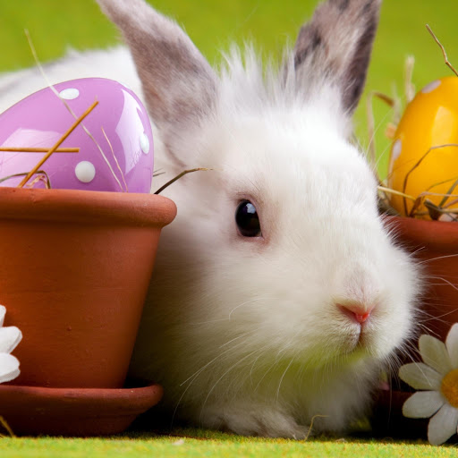 Hd-165275-ascw165275