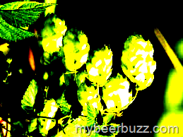 [image%255B3%255D.png]