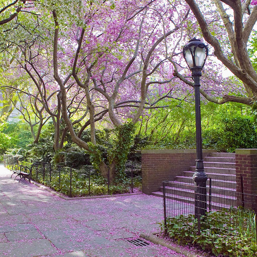 Hd-135561-ascw135561