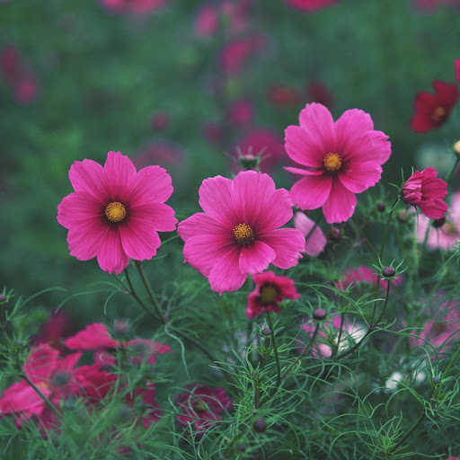 Hd-166678-ascw166678