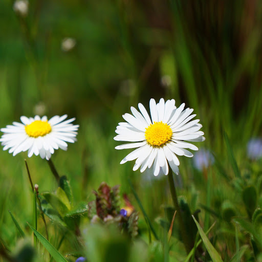 Hd-168185-ascw168185