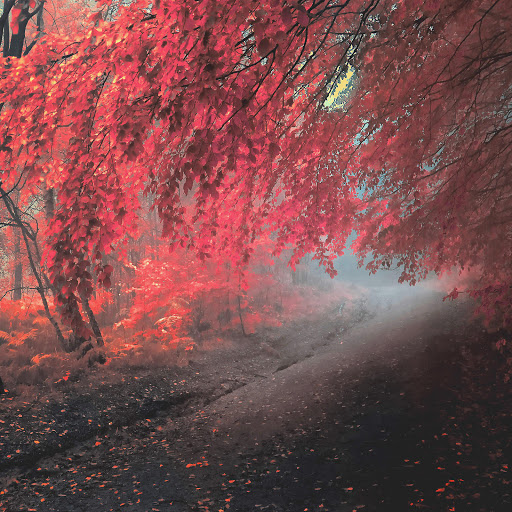 Hd-164259-ascw164259