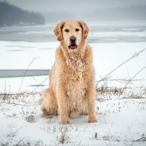 Hd-176108-ascw176108