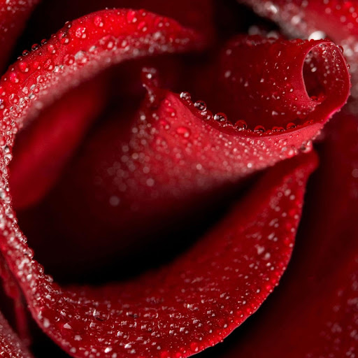 Hd-179598-ascw179598