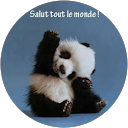Image Google de Dany