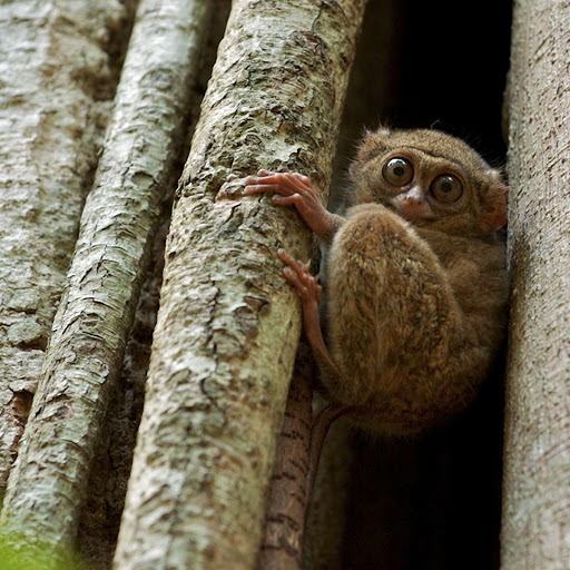 Hd-141344-ascw141344