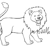 lion3.jpg