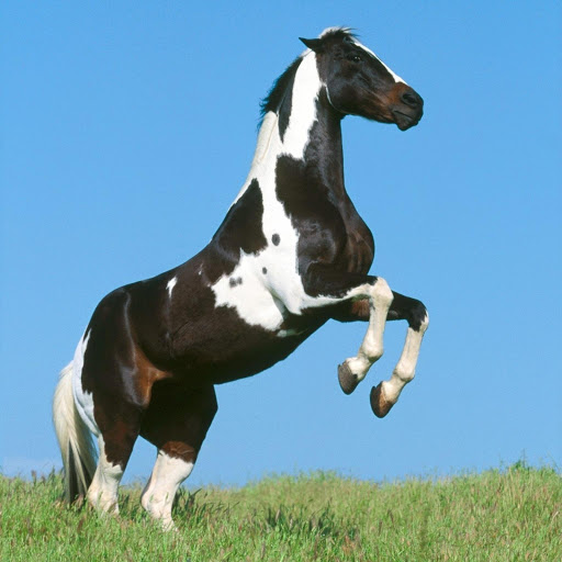 Hd-178983-ascw178983