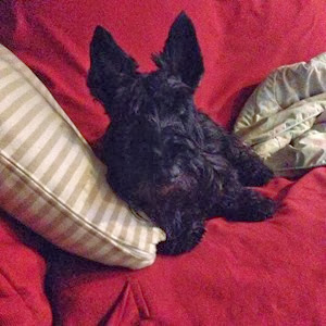 2013-11-01_1383313338