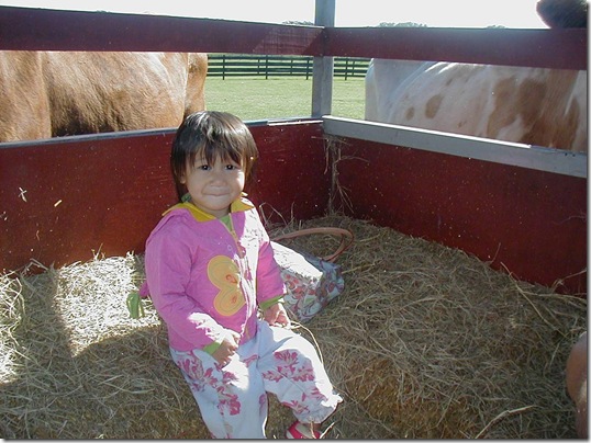 11 7 hay ride.jpg_Thumbnail1  MM