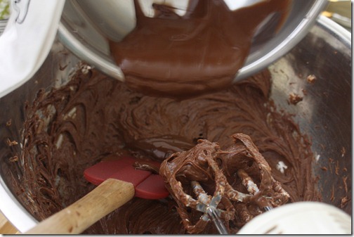 adding chocolate to nutella mix for  Nutella Turtle Truffles via The Shabby Creek Cottage