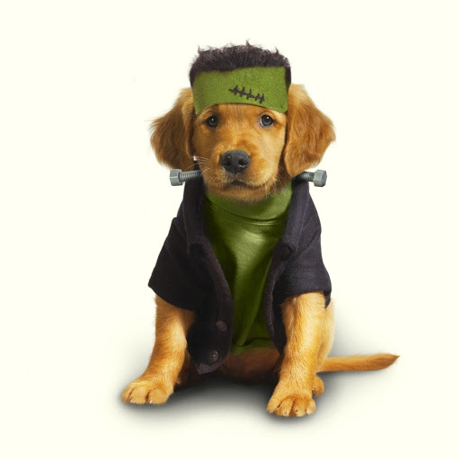 Hd-171631-ascw171631