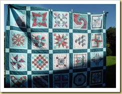 Sampler showing quilting