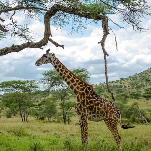 Hd-180752-ascw180752