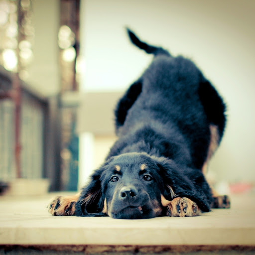 Hd-132103-ascw132103