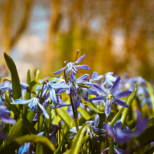 Hd-184651-ascw184651