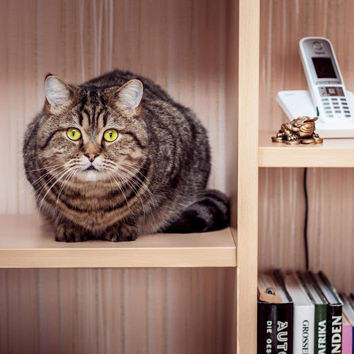 Hd-177635-ascw177635