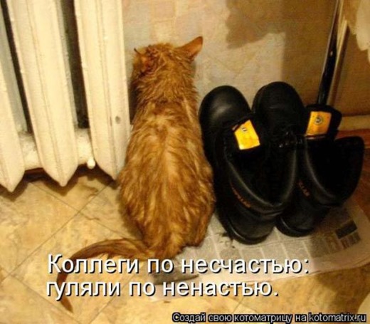 [fe570a11eb7c52335d3ace4a8ea_prev%255B2%255D.jpg]