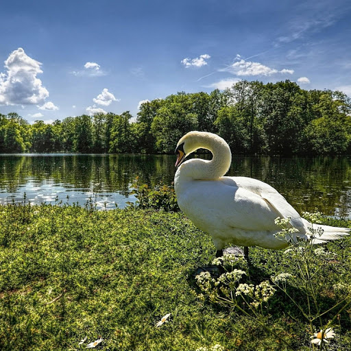 Hd-142908-ascw142908