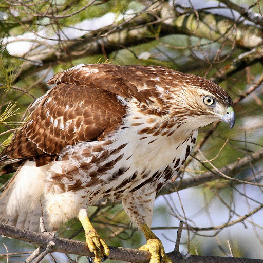 Hd-180261-ascw180261