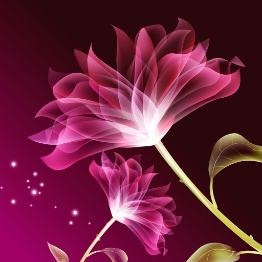 Hd-172380-ascw172380