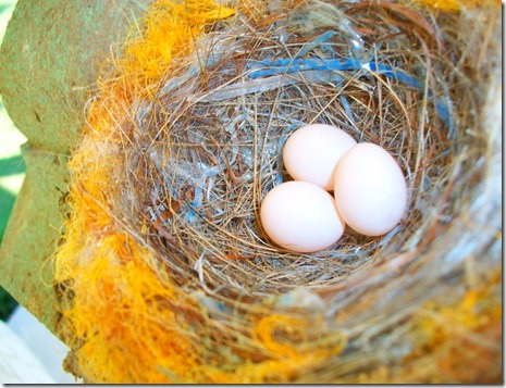 bird nest and flowers 050