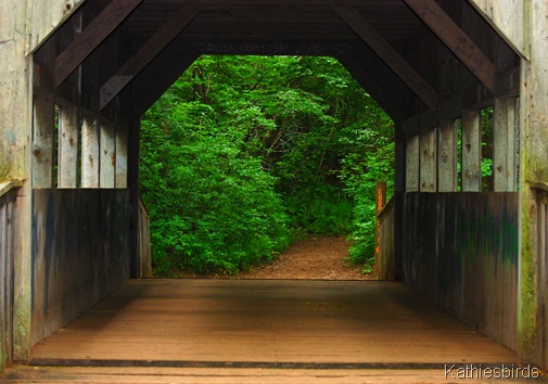 2. inside bridge-kab