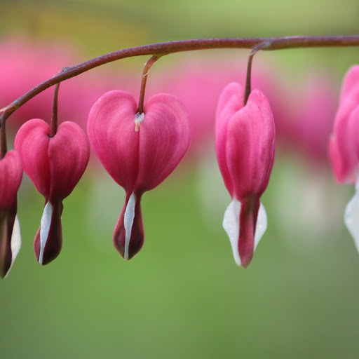 Hd-168183-ascw168183