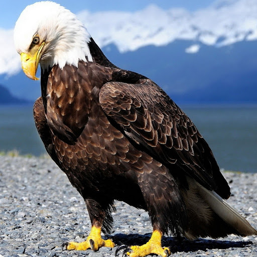 Hd-179845-ascw179845