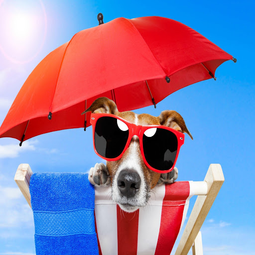 Hd-142273-ascw142273