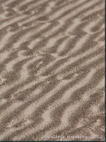 19-sand-ripples