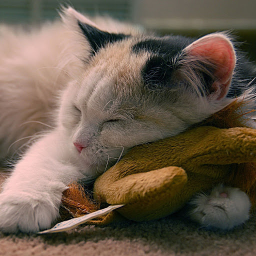 Hd-137850-ascw137850