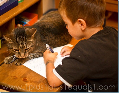 IMG_3743 IMG_3743