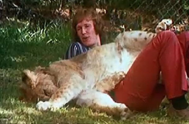 Reportage - L'histoire de Christian le lion (vidéo Arte) dans Culture reportage+l%27histoire+de+Christian+le+lion