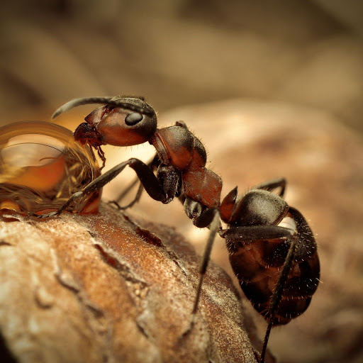 Hd-143904-ascw143904