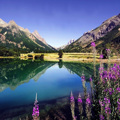 Hd-170308-ascw170308